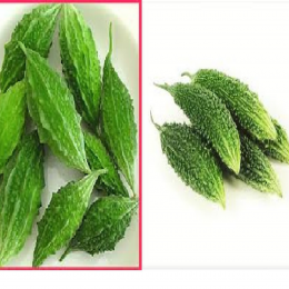 SBJEI-FRESH SMALL BITTER GOURD